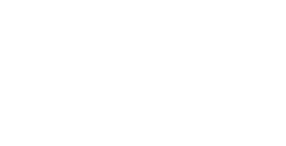 Saifee Computers TallyPrime solutions UAE